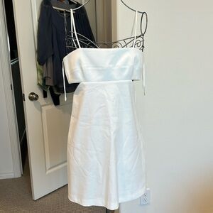 NWT Zara side cutouts mini dress Size M.